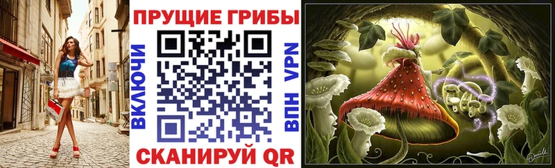 Псилоцибиновые грибы прущие грибы  ОМГ ОМГ tor  Перевоз 