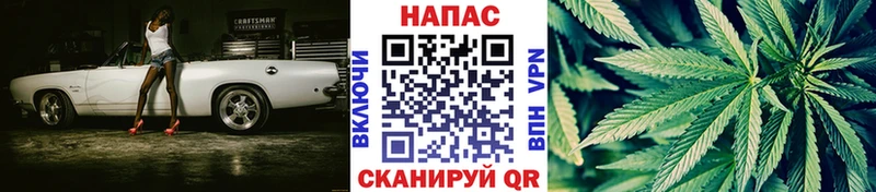 Шишки марихуана конопля Перевоз